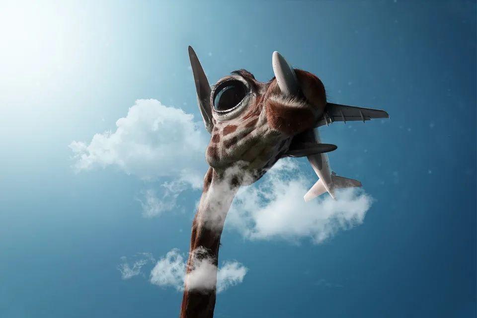代码被嫌弃写的太烂?装上这个IDEA插件再试试!