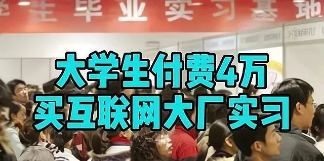 为解决大学生就业,专家建议“付费上班”,周扒皮都不敢这么想 !