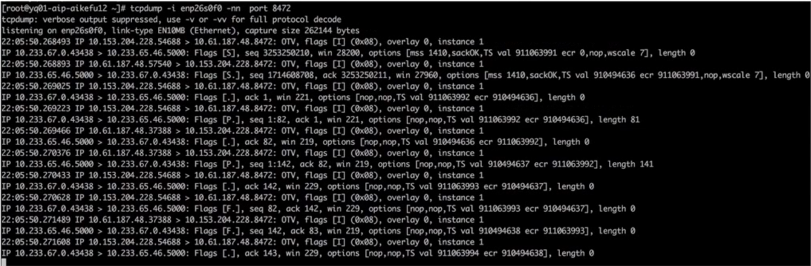 Kubernetes 网络排查骨灰级中文指南